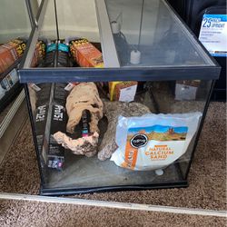 Fish/Reptile Tank