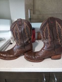 Gavel avestruz boots 11