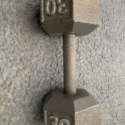 30lbs Cast iron dumbbell single