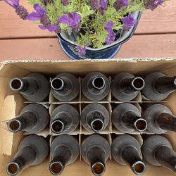 Home Brew Bottles 22oz