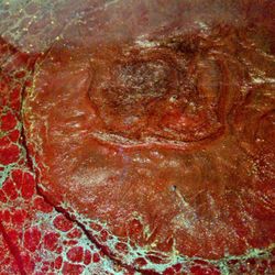 Custom Vintage Wood Cabinet