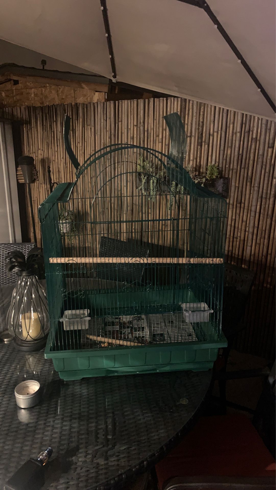 Large Victorian bird cage