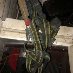 Harness