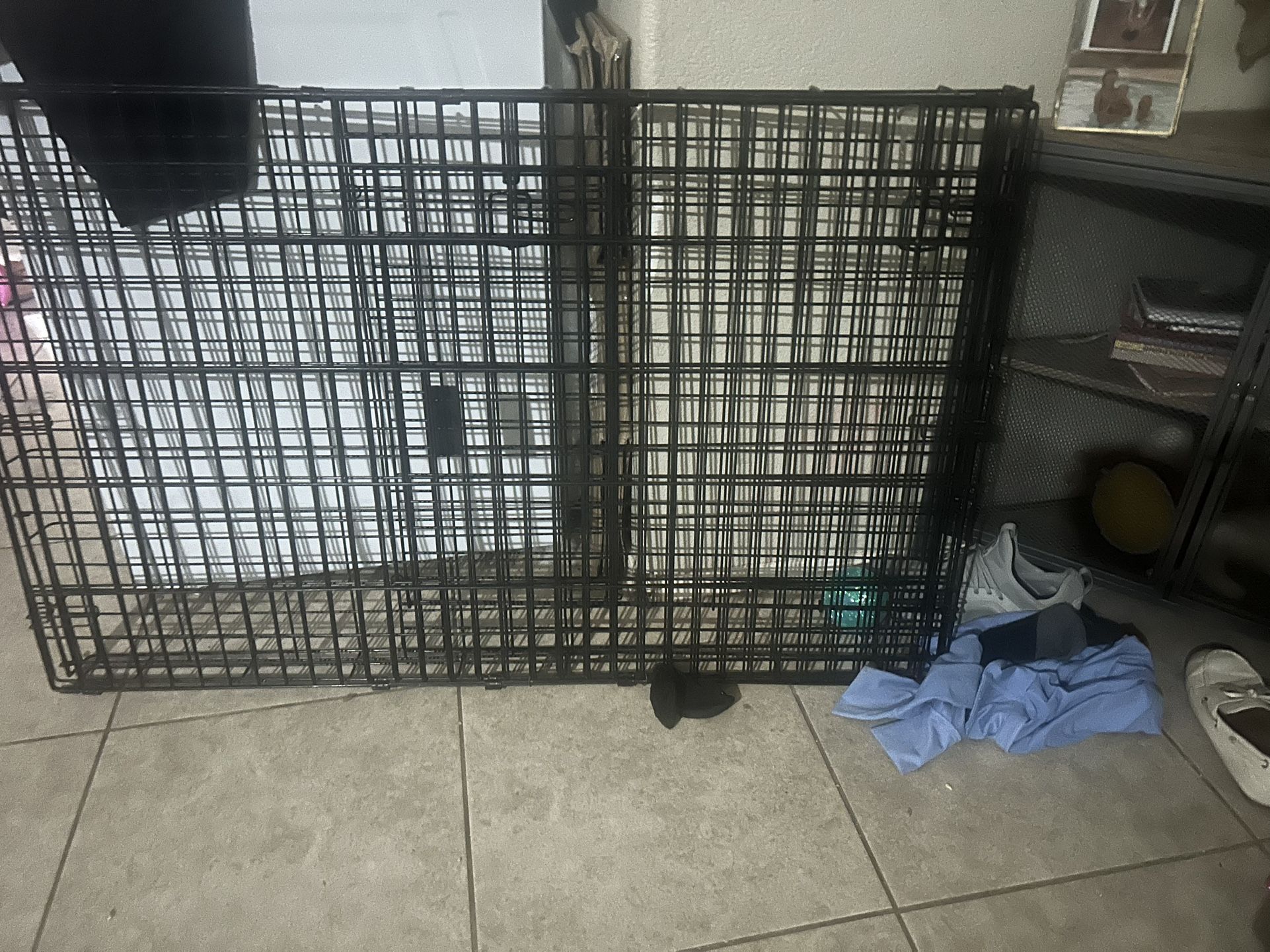 Large dog kennel