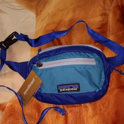 Patagonia Belt Bag

