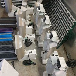 Indoor Grow Lighting