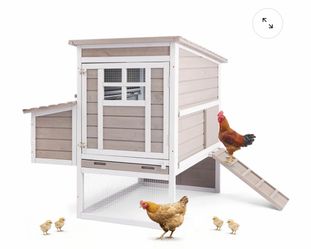 Small Chicken Coop Predator Proof Thickened for 1–3 Chickens - PET87