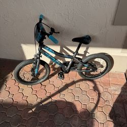 schwinn 16 inch boys bike