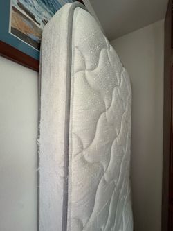 Free twin mattress