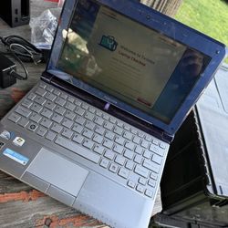 Toshiba Mini NB305 series netbook.  