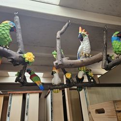 Hanging Parrots - Leather