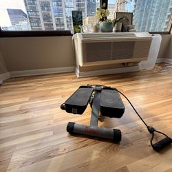 Sunny Mini Stepper And storage Box