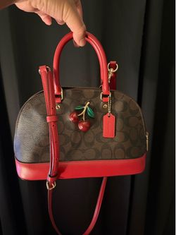 Coach bag
