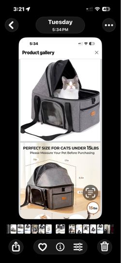 cat carrier