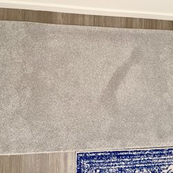 Light Gray Area Rug – Clean & Neutral