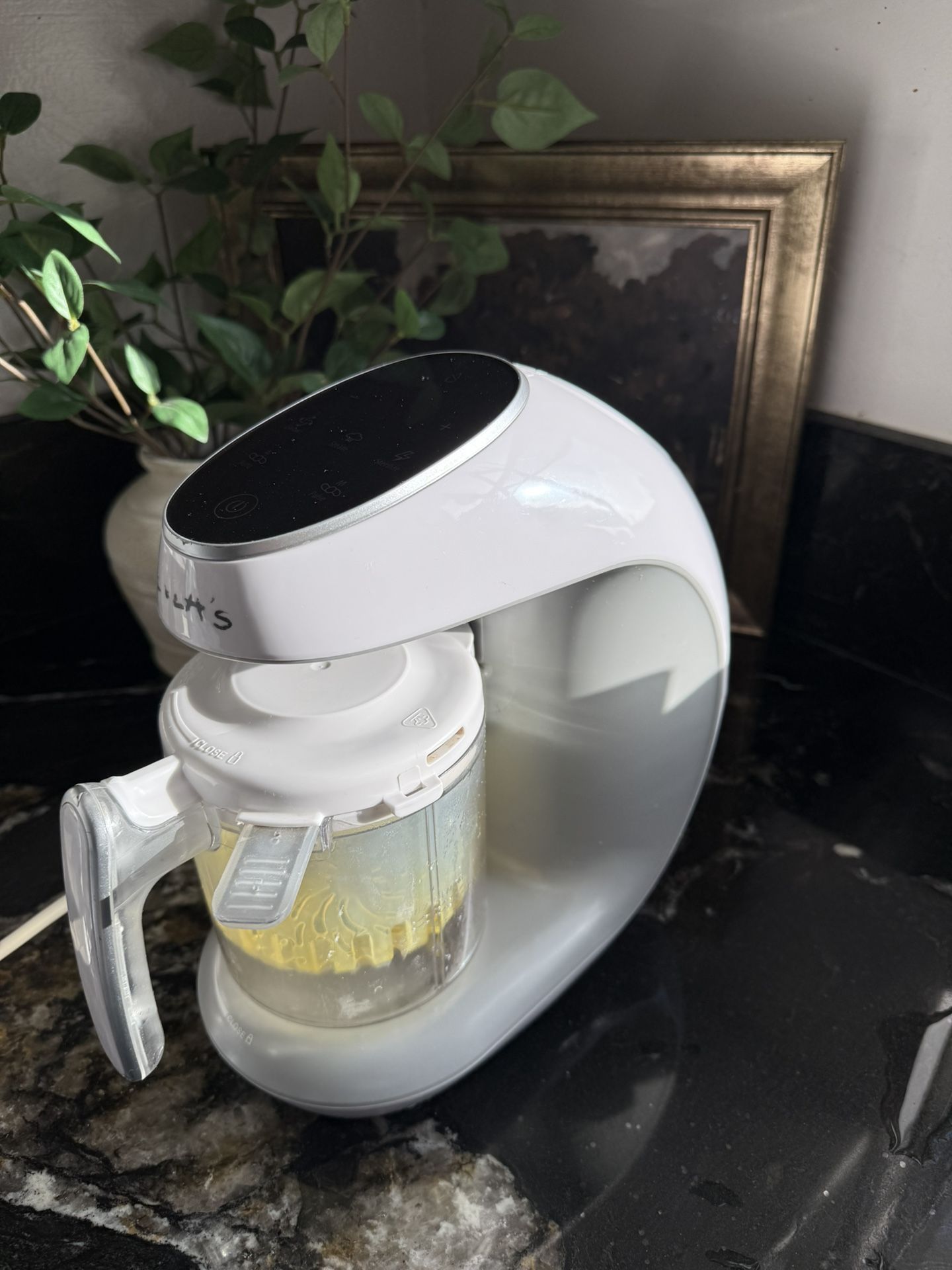 Baby Food Maker