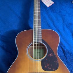 Yamaha Fs800 Guitar Brand New