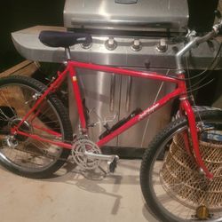 Vintage Specialized Rockhopper