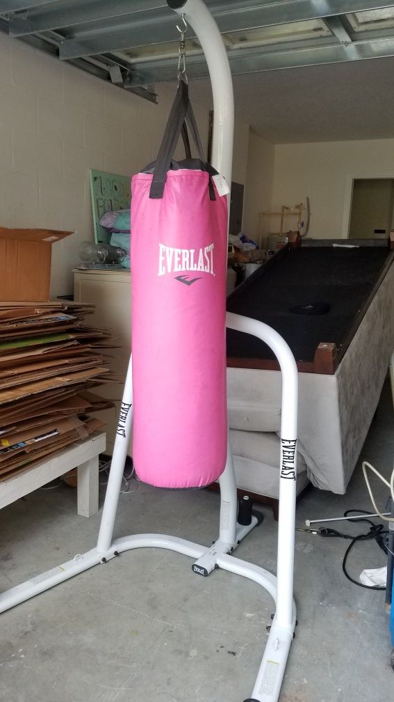 Everlast Punching Bag with Stand and Gloves