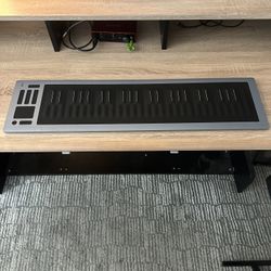 ROLI Seaboard RISE 2 2022 – 49-Key MPE Synth (Mint)