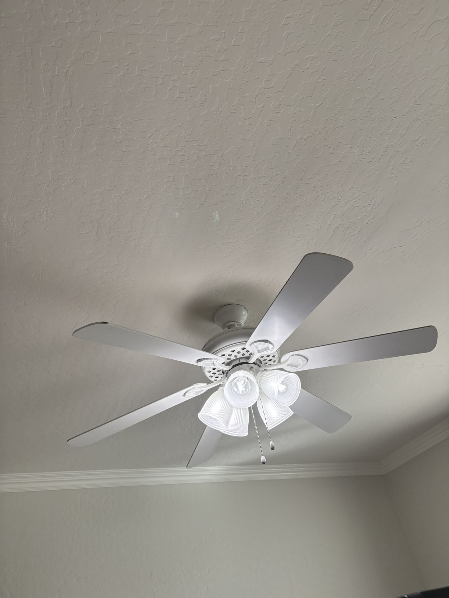 White Fan
