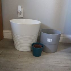 Plant Pots 