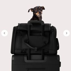 Dagne Dover dog carrier New 