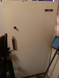Stand up Deep Freezer