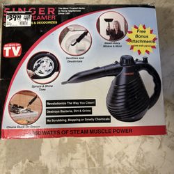 Singer Steamer