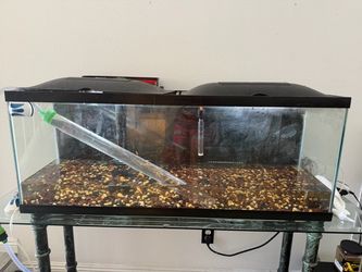 Fish tank 50 gallons