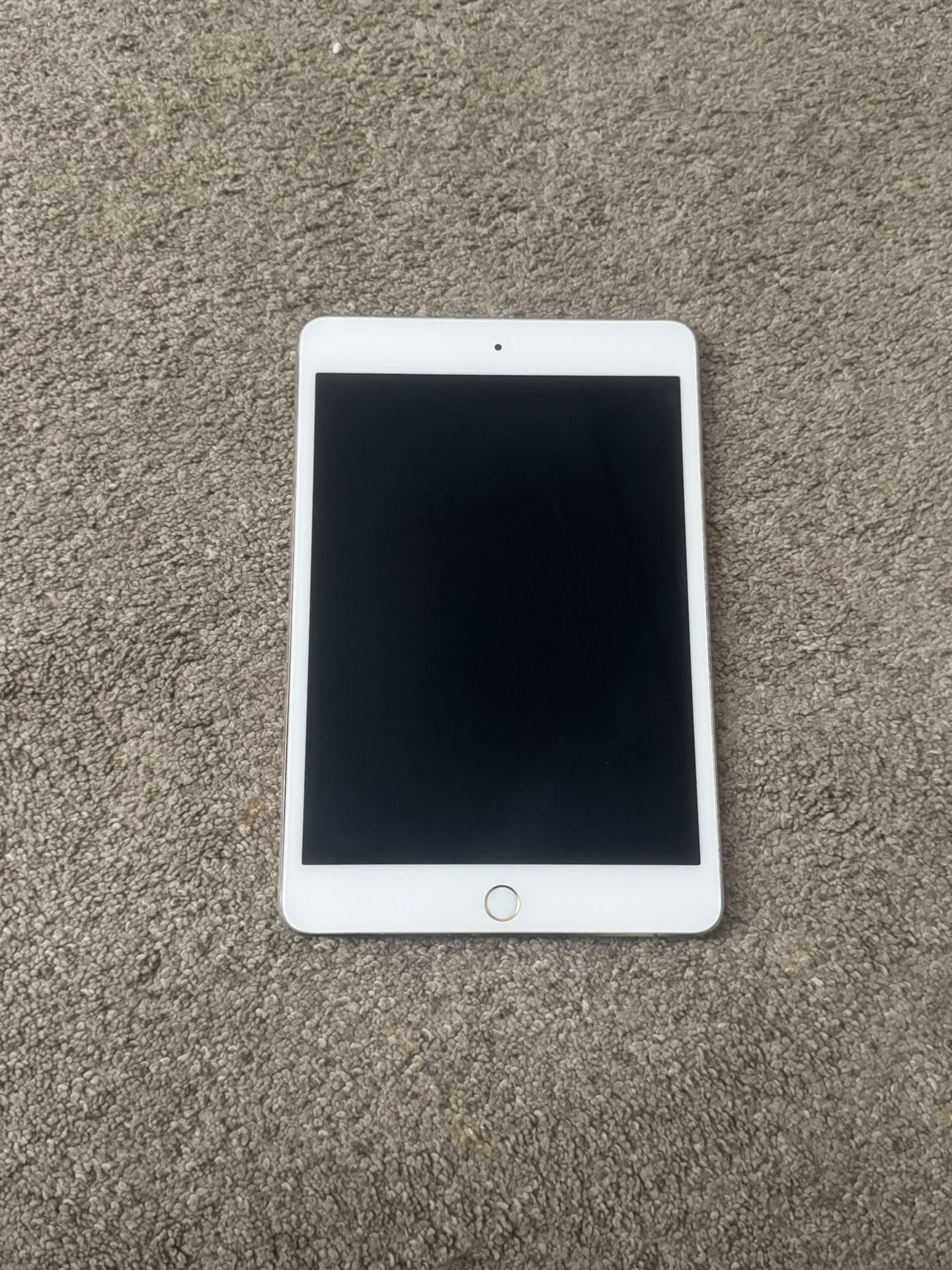 iPad Mini