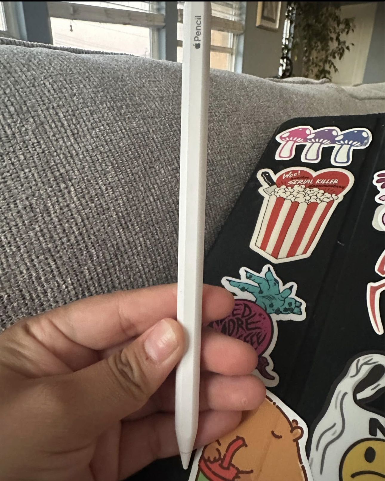 IPAD 4TH GEN AND 2nd GEN APPLE PENCIL