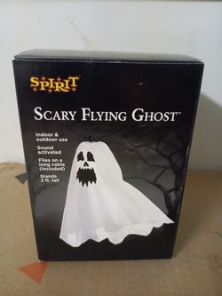 Scary Flying Ghost. Check Out My Other Posts