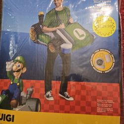 New Mario Cart Luigi Costume Adult