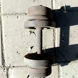 Dumbbell Bar With Weights