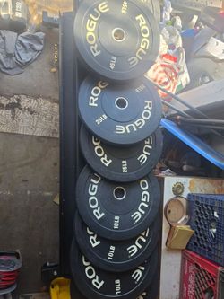 Rogue plates and barbell