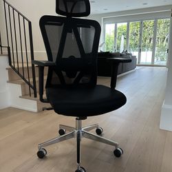 Ergonomic, Adjustable, Rolling Desk Chair 