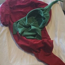 Baby Chili Pepper Costume 3 To 6 Months