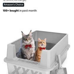 Large Litter Box