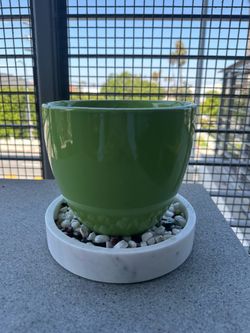 Plant pot with a drip tray