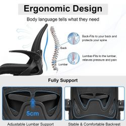 Ergonomic Office Chairs