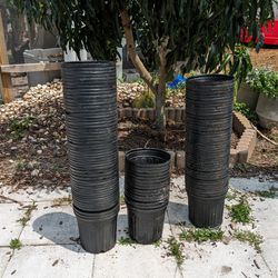 1-gallon Nursery Pots / Planters