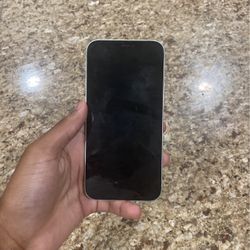 water damaged iphone 12