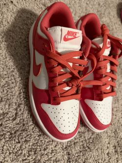 Women’s 6.5 dunks brand new with tags