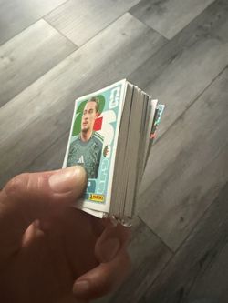 Panini World Cup sticker duplicates