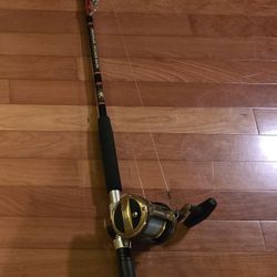 Penn Special Senator  With Rollers Gides, And  A Diawa Solterra 20L reel