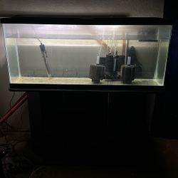 50 Gallon Tank With Stand And Lid And Lights 