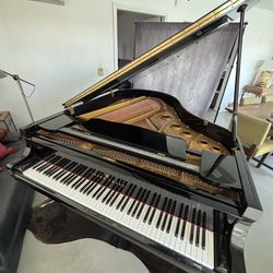 Young Chang Baby Grand Piano G-185 Black (Best Offer)