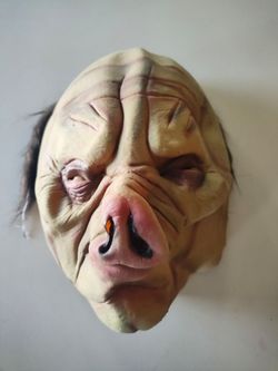 Pork Face Masks for sale.