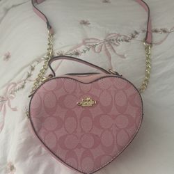 Pink Purse New